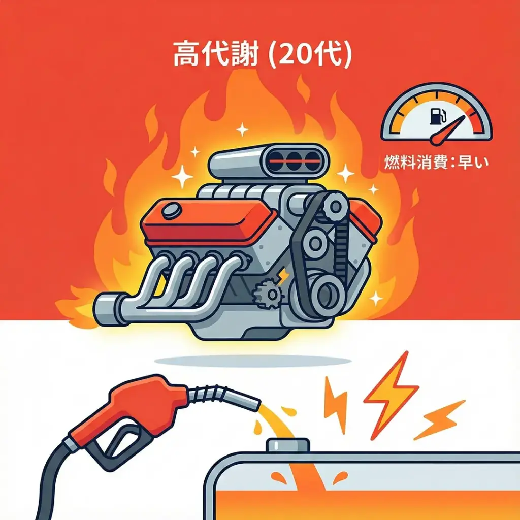 ZUTTOWAKAIによる20代の高い代謝の解説画像。強力なエンジンのイラストで、燃料消費が早く、効率的に脂肪燃焼が行われる様子を表現しています。若年層の痩せやすく太りにくい体の仕組みを例えています。